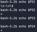 Figure 1: $PS in Bash