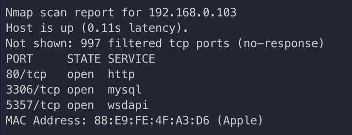 Figure 2: nmap 端口扫描